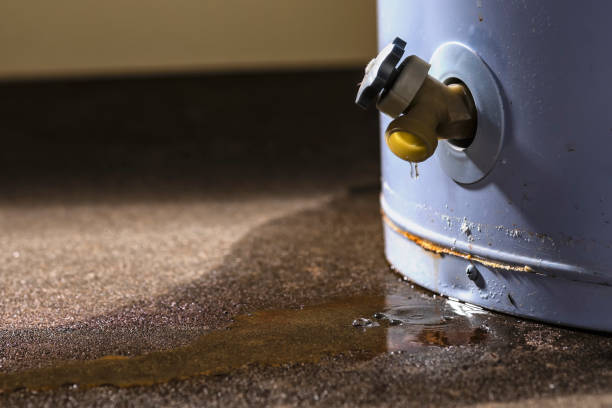 Best Carpet water damage restoration  in Imperial Beach, CA