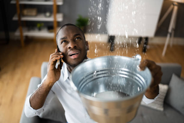 Best Residential water damage restoration  in Imperial Beach, CA