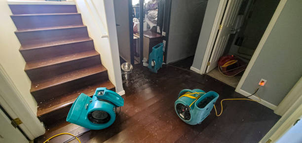 Best Water damage contractors near me  in Imperial Beach, CA