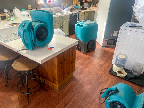 Best Fire Damage Restoration  in Imperial Beach, CA
