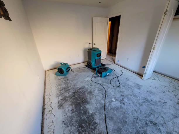 Best Ceiling water damage repair  in Imperial Beach, CA