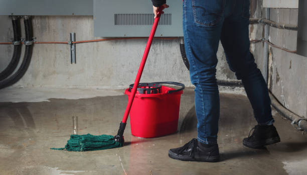 Best Sewage cleanup and water damage restoration  in Imperial Beach, CA