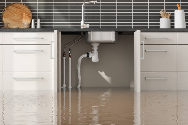 Best Commercial water damage restoration  in Imperial Beach, CA