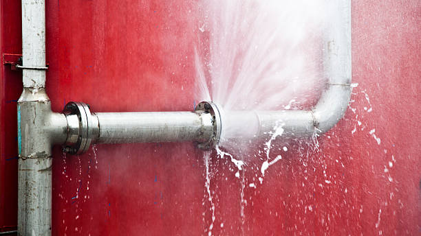 Best Flood restoration services  in Imperial Beach, CA